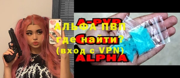 спиды Богданович