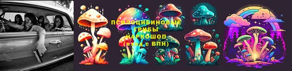 спиды Богданович