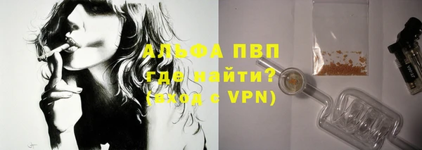 спиды Богданович