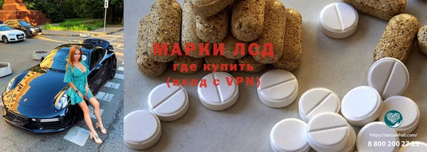 спиды Богданович