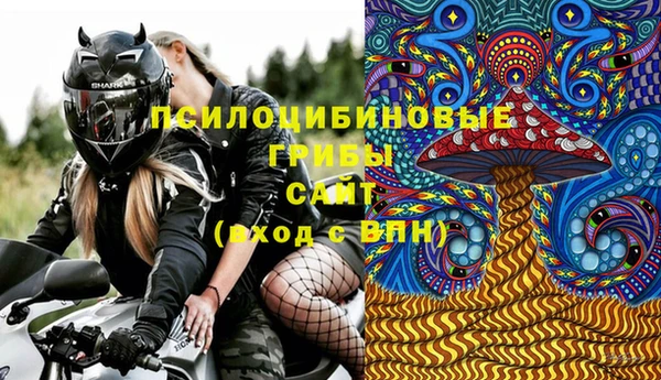спиды Богданович
