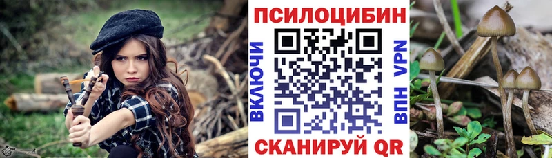 Купить где Ворсма Псилоцибиновые грибы Psilocybe